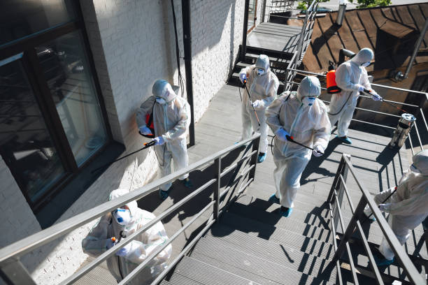  South Haven, IN Mold Removal Pros