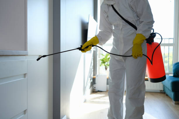 Best Emergency Mold Remediation  in South Haven, IN