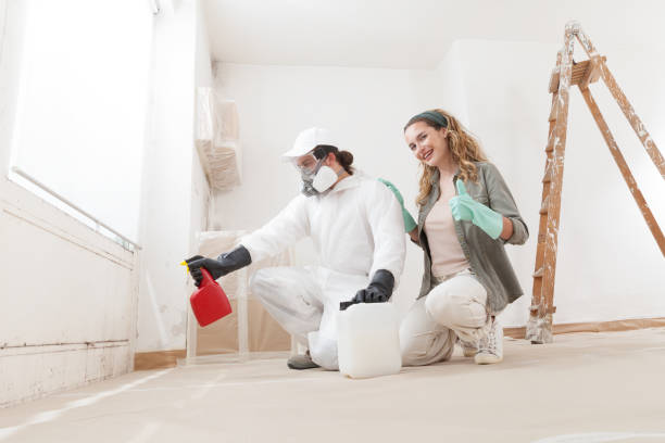 Best Air Quality Testing for Mold Spores  in South Haven, IN
